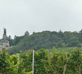 September 2023: Wanderung bei Rüdesheim