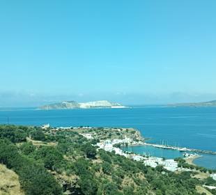 Ausblick