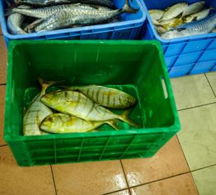 Fischmarkt