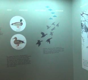 Jagdtier + Vogelkunde