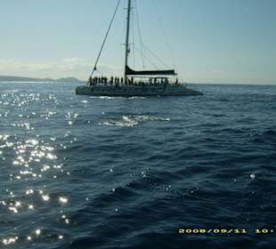 Ein Wahnsinnsausflug