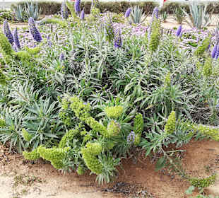 Strandpromenade Playa/Platja de Palma