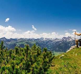 Wanderung auf das nahegelegene Brentenjoch
