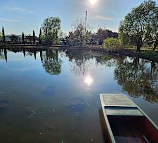 Teich