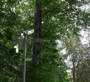 Hochgeträumt Premiumwanderung