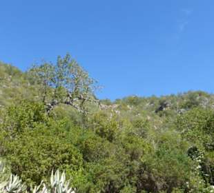 Wanderung im Naturschutzgebiet Fonte Benémola