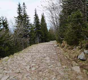Berg Schneekoppe/Śnieżka