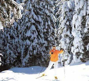 Langlauf beim Winterbauer