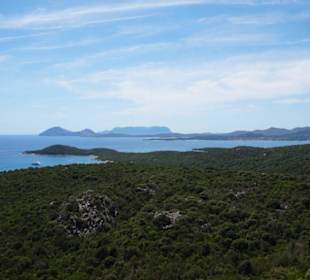 Blick von der Zufahrtsstraße