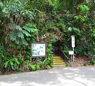 Botanischer Garten Singapur