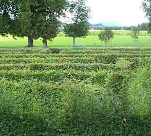 wo gehts nach draussen?