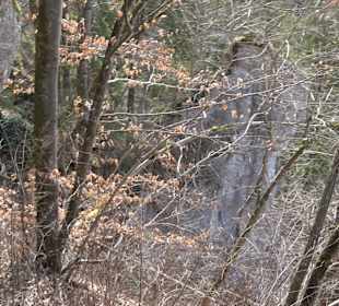 Fürstlicher Park Inzigkofen