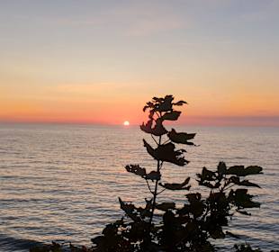 Strand Diedrichshagen