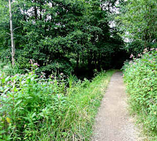 Spaziergang durch das Schönebecker Auetal