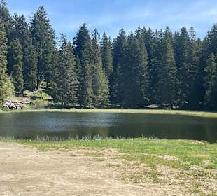 Ausblick vom Gastgarten