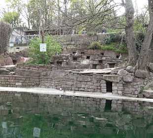 Zoologischer Stadtgarten