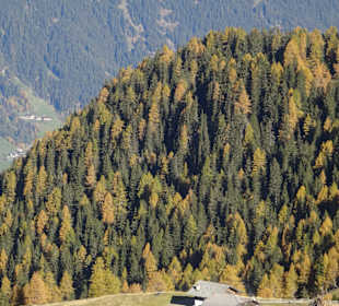 Von Hütte zu Hütte - Almenwanderung Hirzer