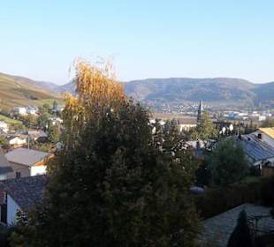 Blick ins Moseltal / Lieser