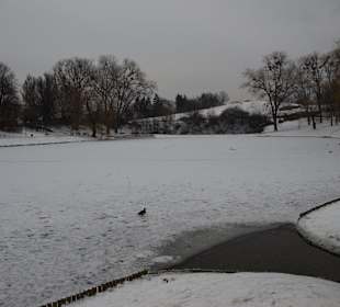 Park Moczydło zimą