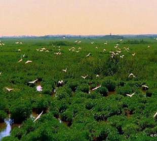 Rundflug über Miami