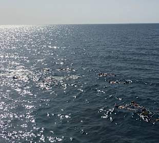 Delfinausflug mit Mo