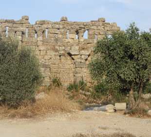 Blick auf die Ruine...