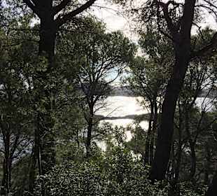 Wandern rund um Cala Ratjada