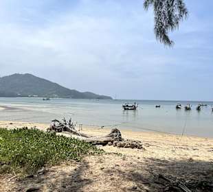 Strand Nai Yang Beach