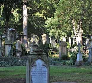 Rundgang über den Alten Friedhof Bonn
