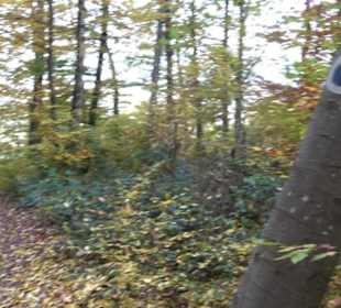 Herzog-Jäger-Pfad