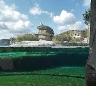Unterwasserwelt im Zoo am Meer