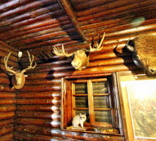 In der Villa Bärenfett