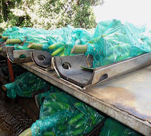 Anlieferung der Stauden