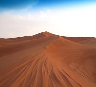 Wüstentour Dubai