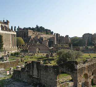 Forum Romanum