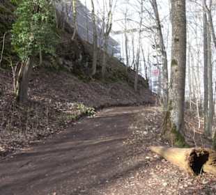 Burgruine Hohenwittlingen