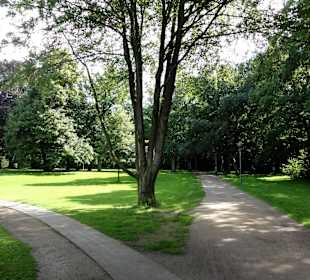 Spaziergang durch den Waller Park