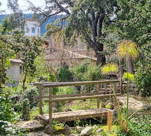 Ogród Botaniczny Lluc