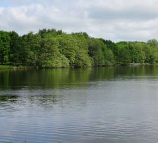 Impressionen vom Rundgang um den Tweelbäker See