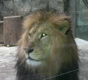 Zoo Olomouc