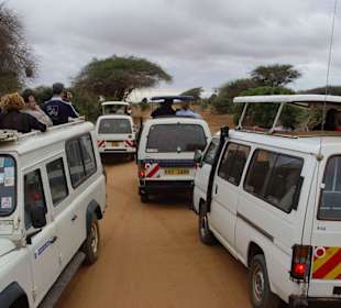 Jagdt nach dem besten Bild