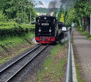 Kleinbahn auf Rügen
