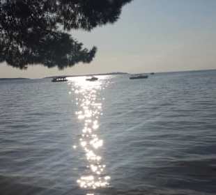 Spaziergang nach dem Abendessen