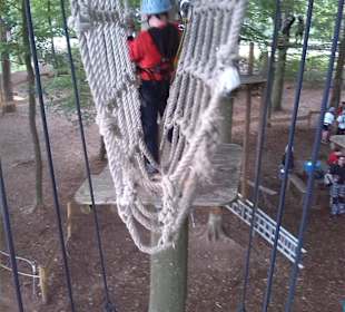 Fun Forest AbenteuerPark Homburg in Homburg