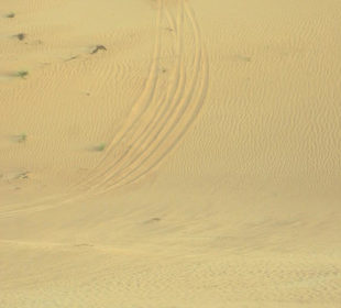 Wüstensafari mit Barbecue