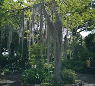 Botanischer Garten Puerto de la Cruz