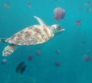 Alle Bilder an einem Tag!