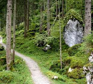 Weg vorbei an Findlingen aus der Eiszeit