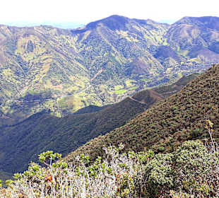 Podocarpus Nationalpark