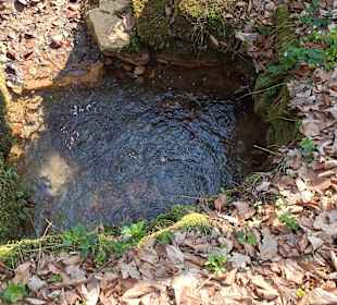 Brodlsulz: hier blubberts